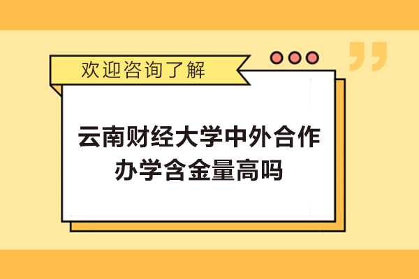 云南財經大學中外合作辦學含金量高嗎-云南財經大學的中外合作辦學好嗎