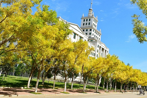 学校马路