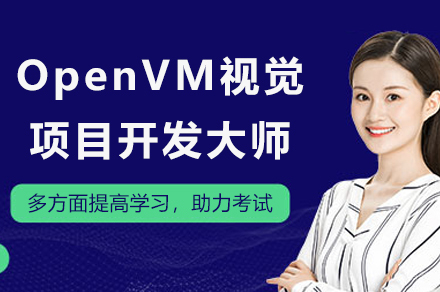 苏州OpenVM视觉项目开发大师
