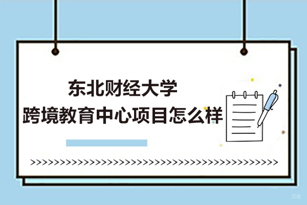 东北财经大学跨境教育中心项目怎么样