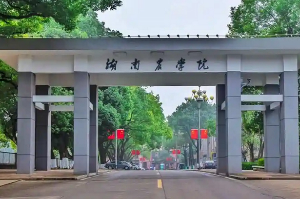 校園環(huán)境