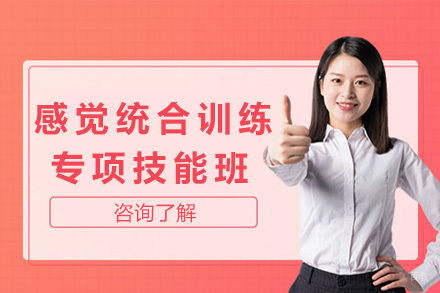 上海感觉统合训练专项技能班