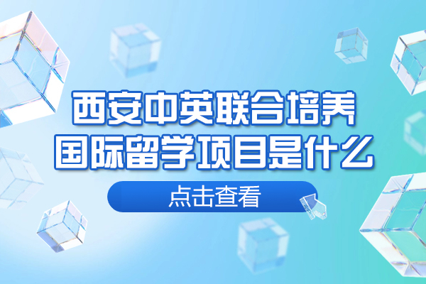 西安中英聯(lián)合培養(yǎng)國際留學項目是什么-怎么樣