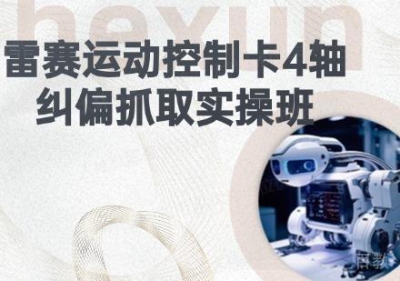苏州雷赛运动控制卡4轴纠偏抓取培训