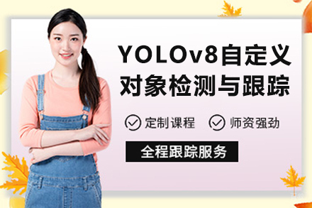 苏州YOLOv8实现自定义对象检测与跟踪