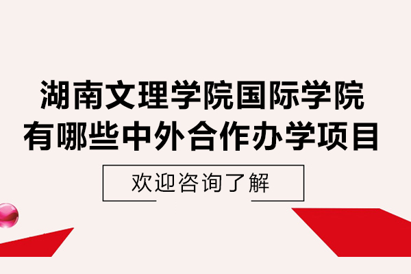 湖南文理學(xué)院國(guó)際學(xué)院有哪些中外合作辦學(xué)項(xiàng)目