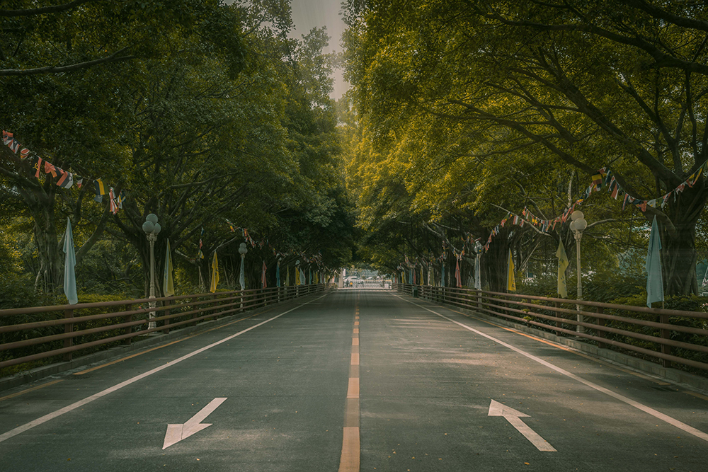 學(xué)校道路環(huán)境相冊