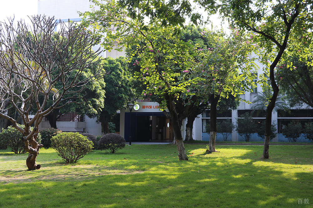 学校绿化环境相册