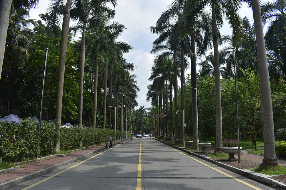 校园走道环境相册