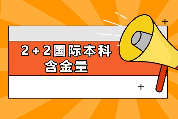 上海2+2國際本科含金量-2十2國際本科值得讀嗎