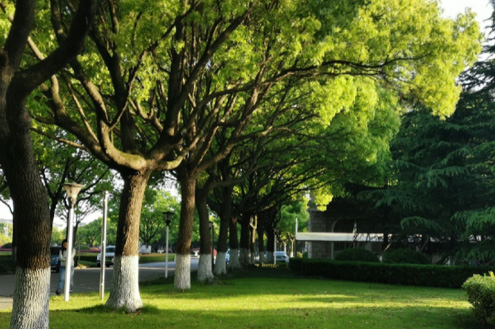 學校外景