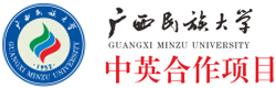广西民族大学中英国际本科项目