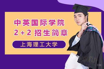上海理工大学中英国际学院2+2招生简章