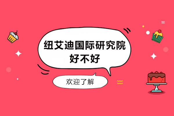 纽艾迪国际研究院好不好-怎么样
