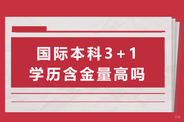 上海国际预科-上海国际本科3+1学历含金量高吗