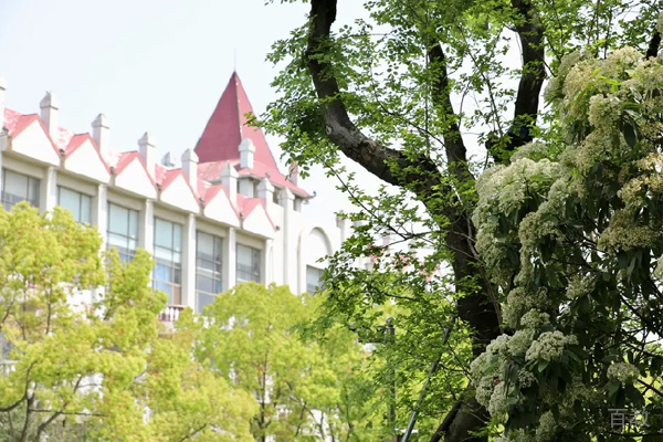 学校校内一隅环境