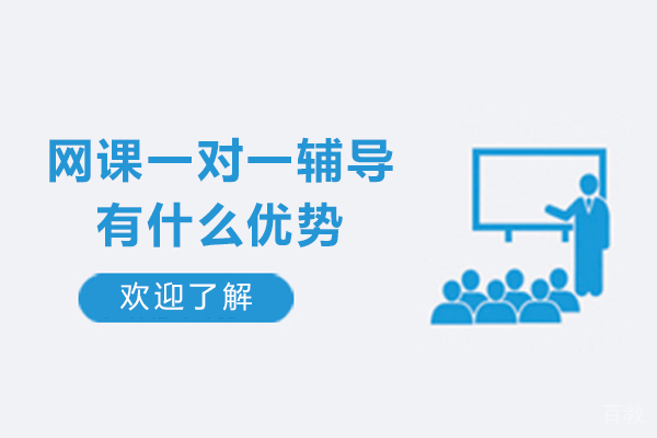 网课一对一辅导有什么优势-网课一对一辅导有用吗
