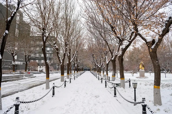 校園雪景環(huán)境