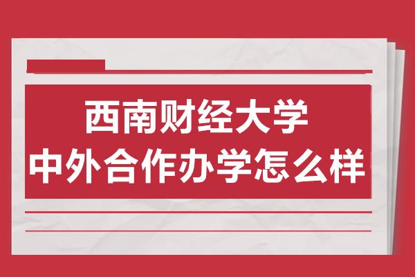 成都西南財經大學中外合作辦學怎么樣