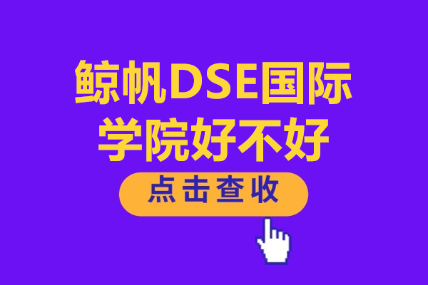 深圳鯨帆DSE國際學(xué)院好不好