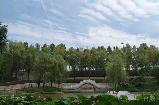 校园环境