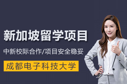 新加坡留学项目招生简章