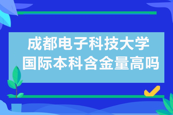 成都電子科技大學國際本科含金量高嗎