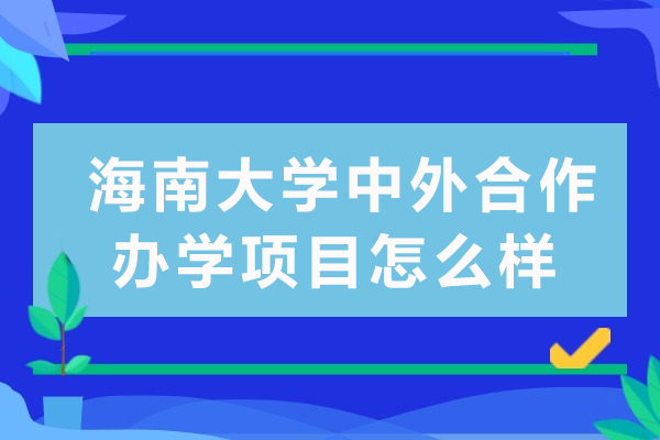 海南大學(xué)中外合作辦學(xué)項(xiàng)目怎么樣