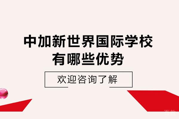 贵阳中加新世界国际学校有哪些优势-贵阳中加新世界国际学校怎么样