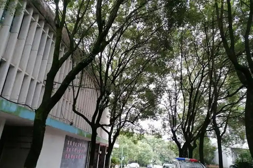 学校走道环境