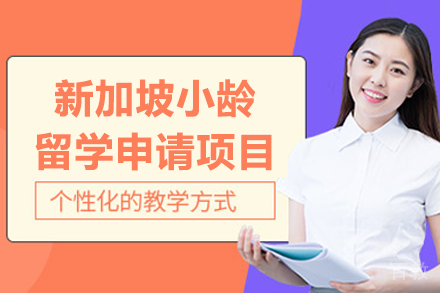 新加坡小龄留学申请项目