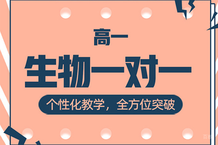 高一生物一对一培训班