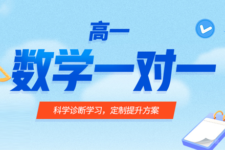 高一数学一对一培训班