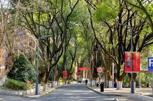 学校走道环境