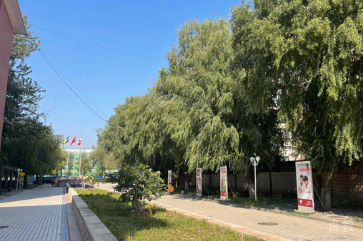 校园风景环境