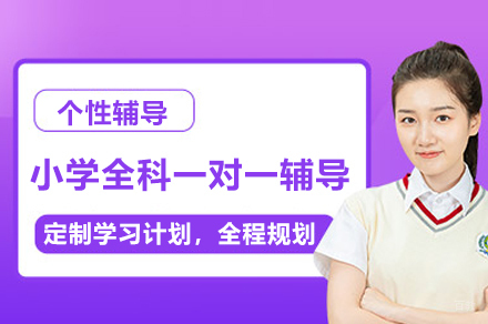 上海小学全科一对一辅导