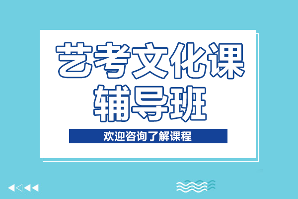 上海藝考文化課輔導(dǎo)班