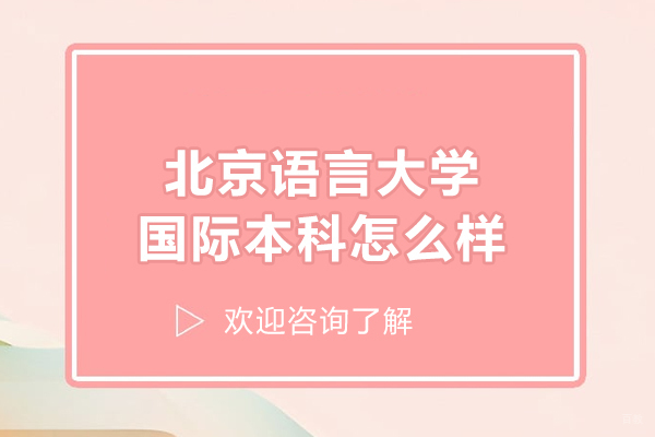 北京国际本科-北京语言大学国际本科怎么样