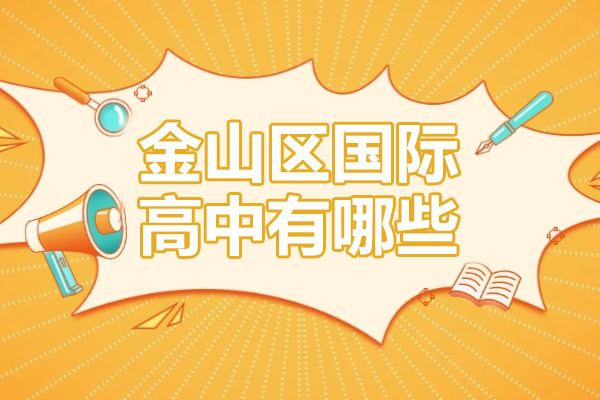 上海金山区国际高中有哪些