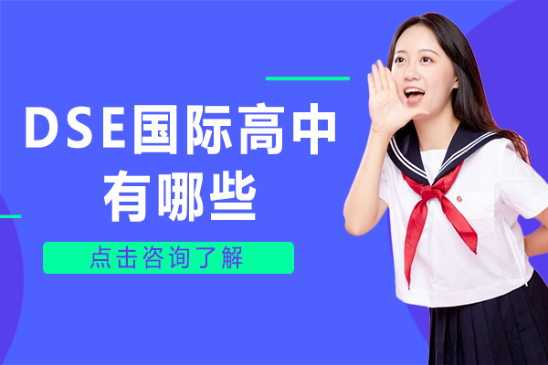 上海有哪些DSE国际高中