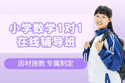 石家庄小学数学1对1在线辅导班
