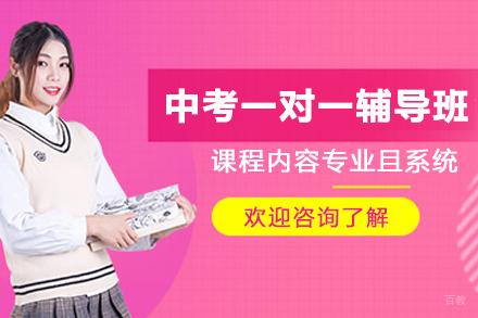 南京中考一对一辅导班