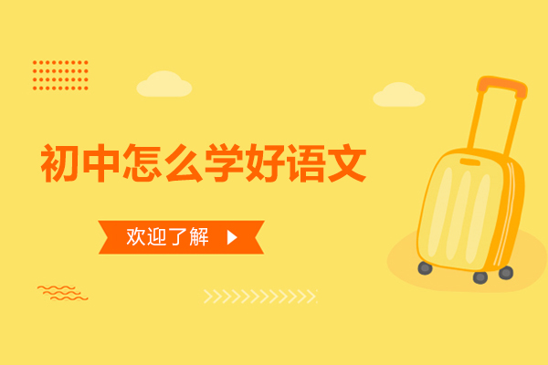 初中怎么学好语文-如何提升初中语文成绩