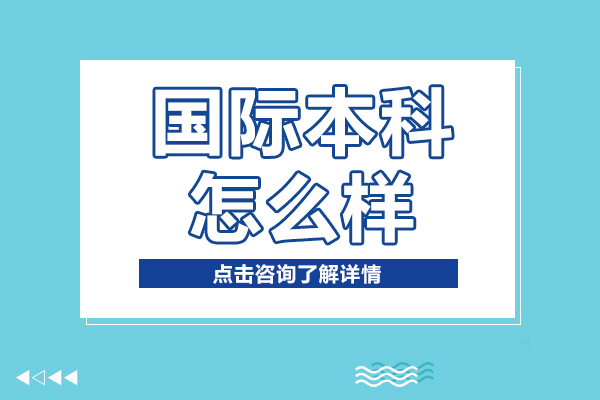 上海大學(xué)國際本科怎么樣