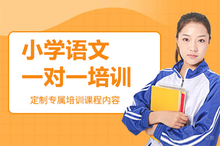 深圳小学语文一对一培训班