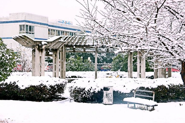 学校雪景环境