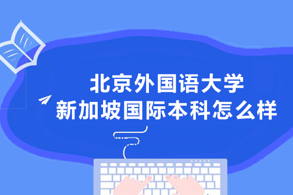 北京外国语大学新加坡国际本科怎么样