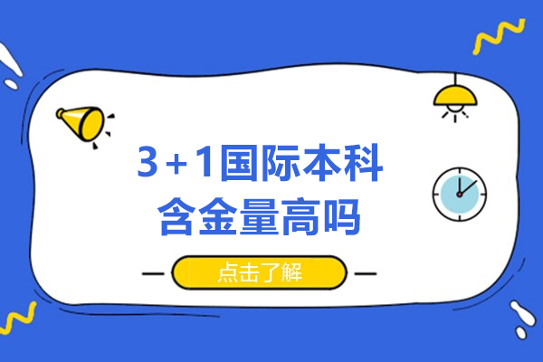 3+1国际本科含金量高吗