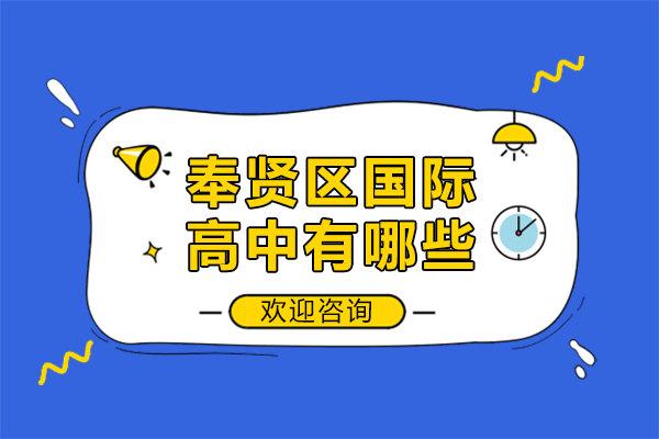 上海奉贤区国际高中有哪些