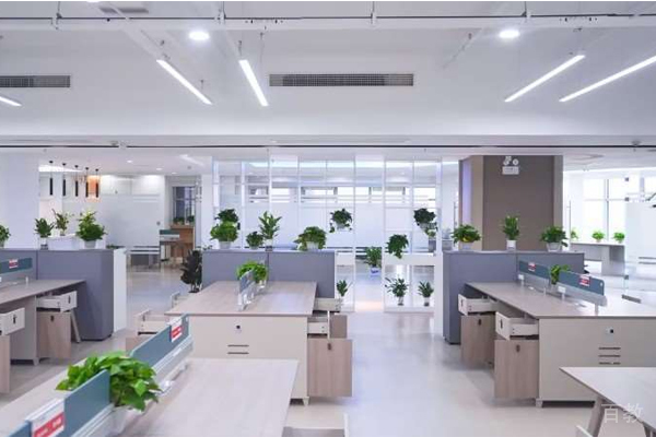 学校公区环境